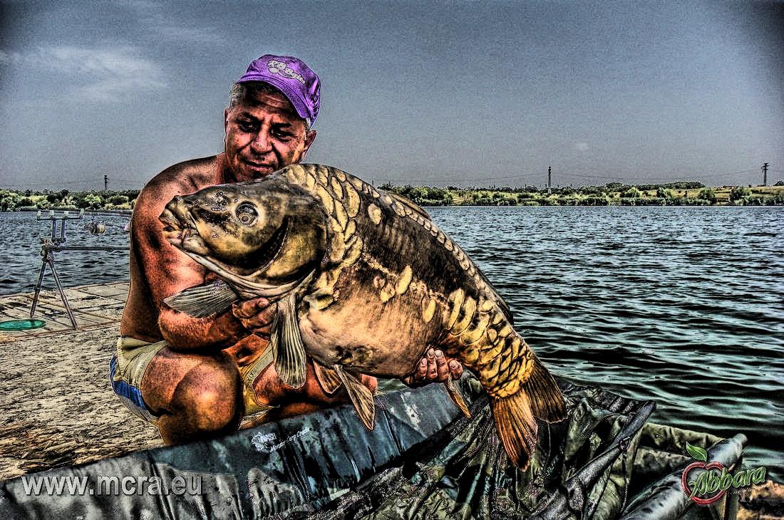 MeetCarp Romanian Awards 2013 - 1010119hdrmode2-2.jpg